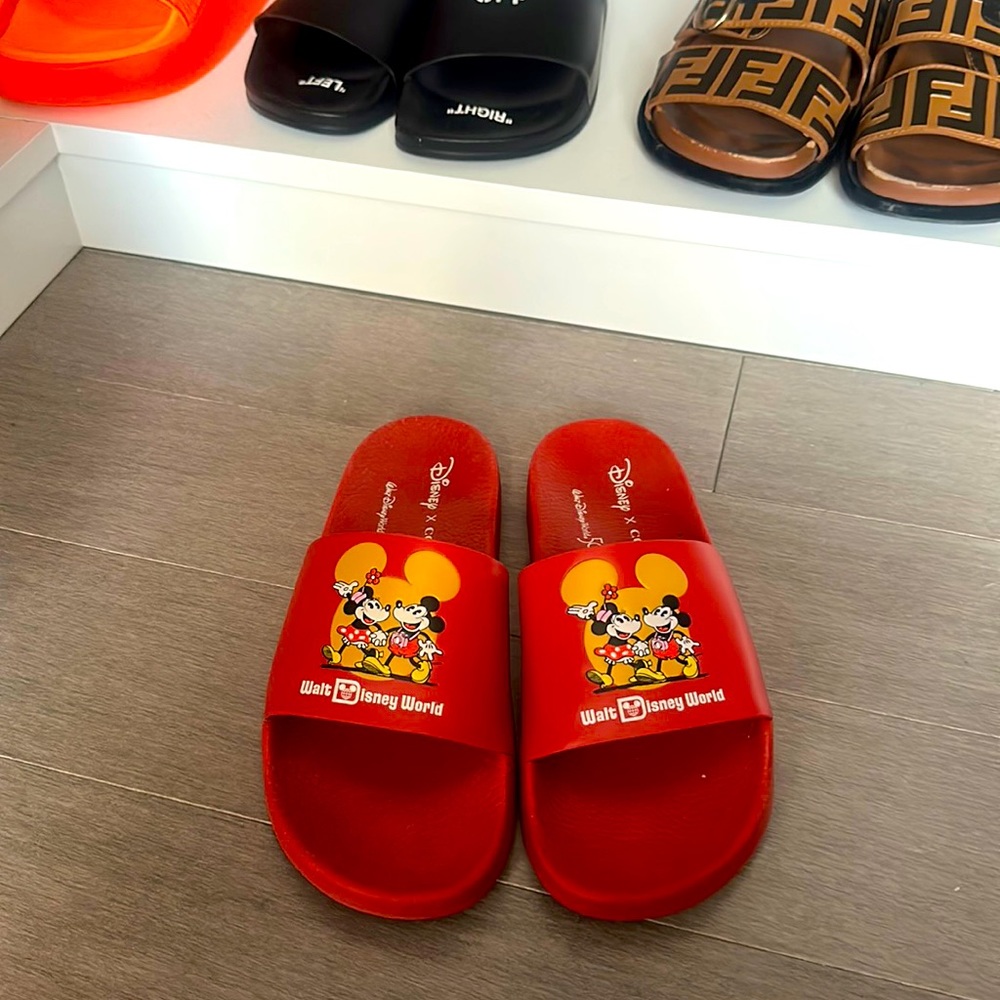 Coach x Disney pool slide